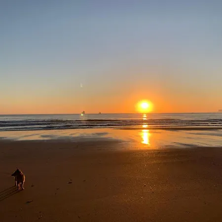 Desde La Buhardilla Appartement *